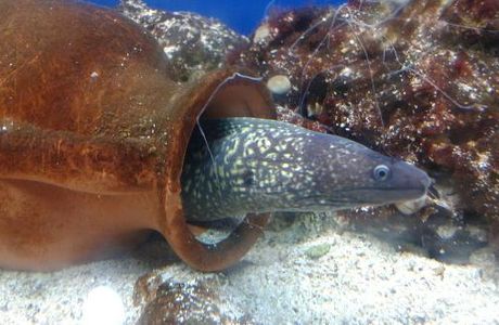 Acquario del Salento