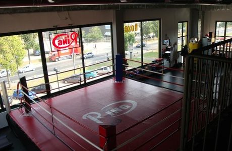 Palestra the Ring