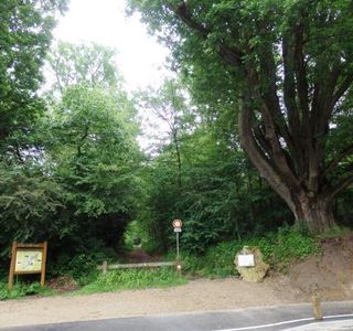 Le Chene du Petit-Launay
