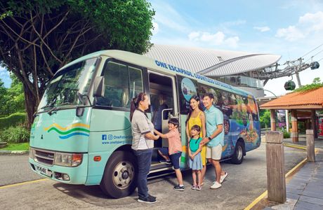 The Sentosa Bus