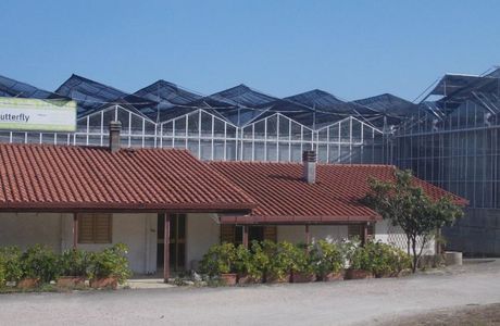 Butterfly Farm d'Abruzzo