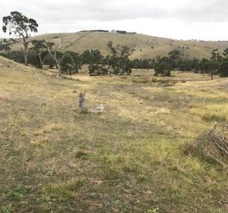 Bullock Hill Conservation Park