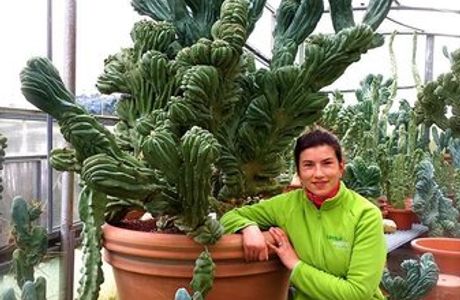 Cactusmania Di Manera Bruno