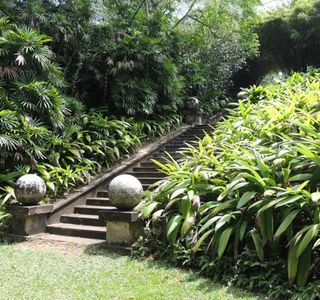 Brief Garden - Bevis Bawa