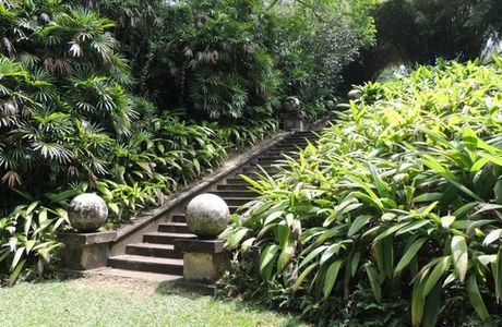 Brief Garden - Bevis Bawa