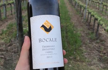 Bocale Vini