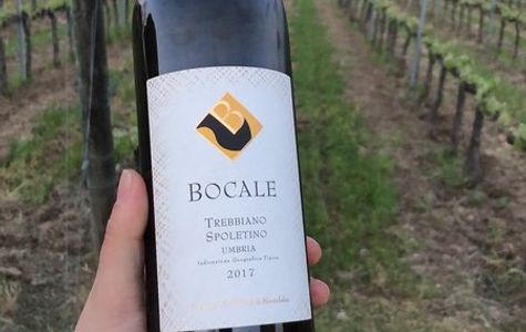 Bocale Vini 1