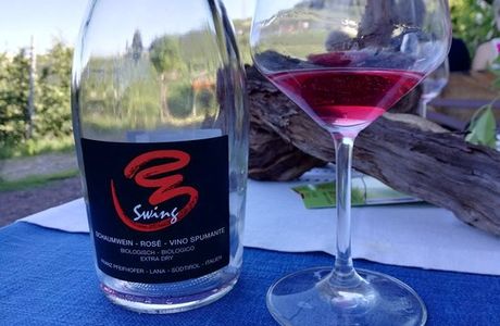Bioweingut Zollweghof