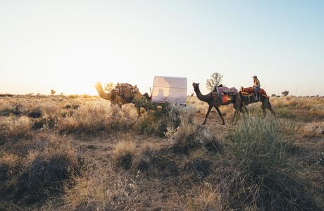 Bikaner Camel Safari
