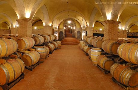 Bortoluzzi Wines