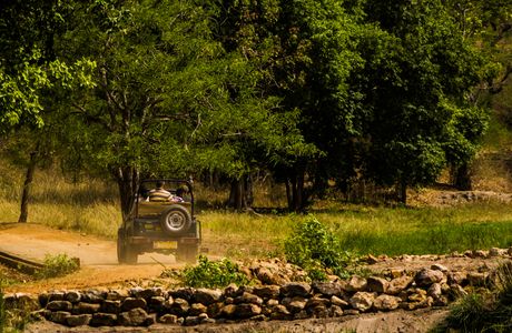 Bor Wild Life Sanctuary