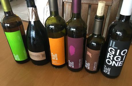 Cantina La Tollara