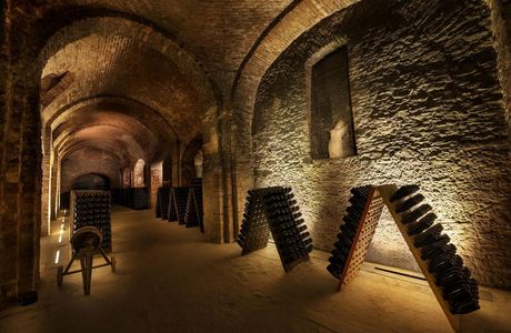 Cantine Bosca - Cattedrali Sotterranee