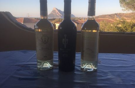 Cantina sociale del vermentino di monti