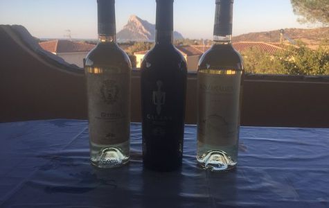 Cantina sociale del vermentino di monti 1