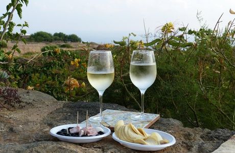 Azienda Vinicola Minardi