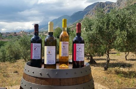 Azienda Vitivinicola Rizzo