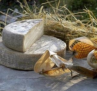 Azienda Agricola Biologica Il Cardo
