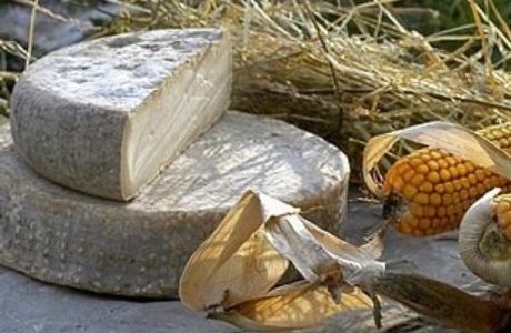 Azienda Agricola Biologica Il Cardo