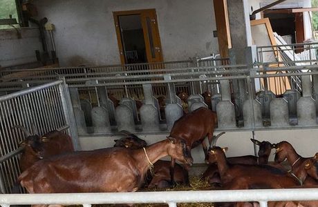 Azienda Agricola San Gregorio