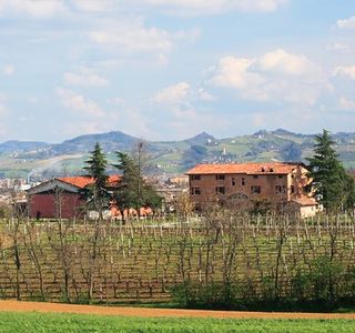 Azienda Agricola La Piana