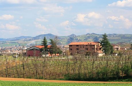 Azienda Agricola La Piana