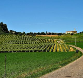 Azienda Agricola Nadali