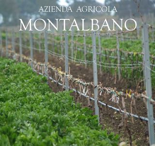 Azienda Agricola Montalbano