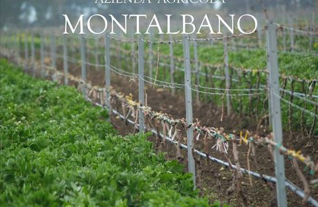 Azienda Agricola Montalbano