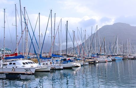 Bay Harbour Market