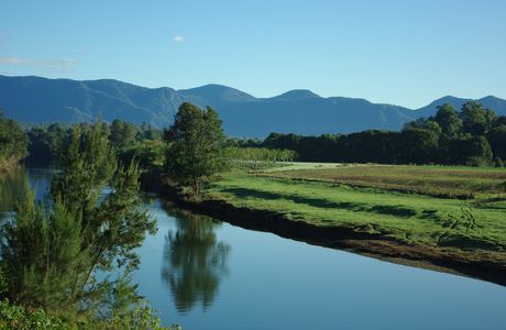 Bellinger River National Park