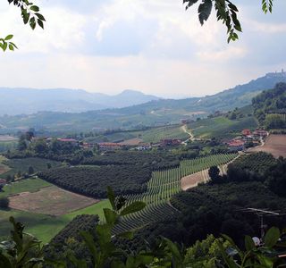 Belvedere Di Verduno