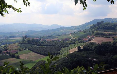 Belvedere Di Verduno 1