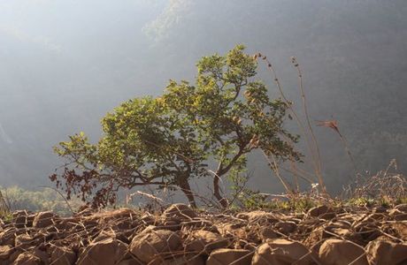 Chilkahrada Wild Life Sanctuary