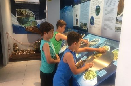 Dwejra Marine Environmental Education Centre