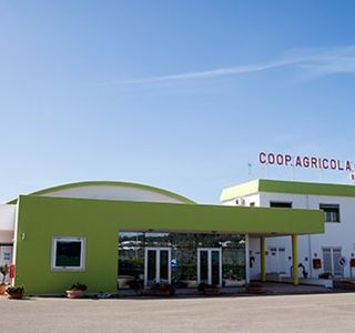 Cooperativa Agricola Olearia Sannicolese