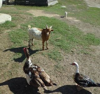 Deltaventur Parc D ' Aventura I Natura