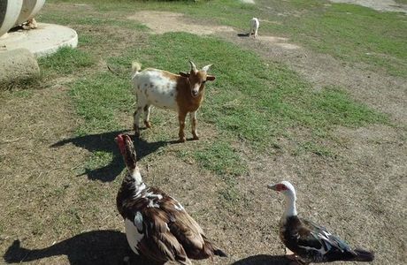 Deltaventur Parc D ' Aventura I Natura