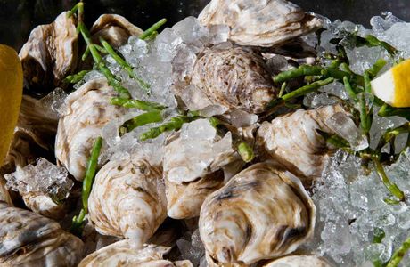 Imlay Oyster Producers