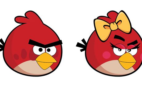 Il Sentiero del Professore