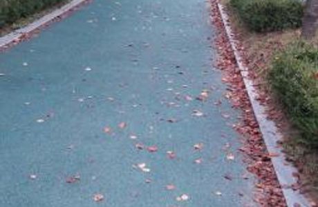 Iksan Jungang Cheyuk Park