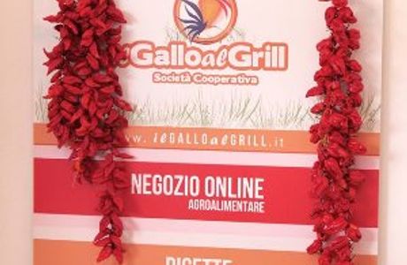 Il Gallo al Grill