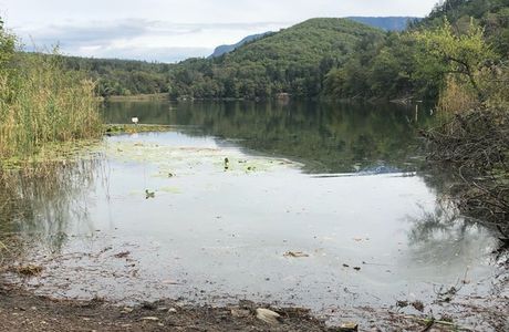 Il Lido al Lago Grande di Monticolo
