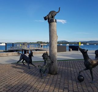 Hairy Maclary & Friends Tauranga Waterfront Sculpture