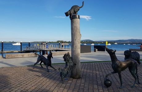Hairy Maclary & Friends Tauranga Waterfront Sculpture