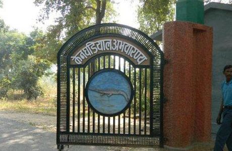 Ken Gharial Sanctuary