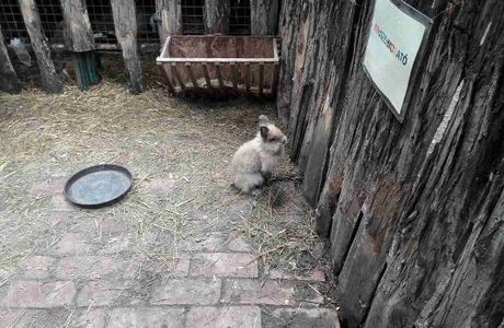 Kecskeméti Zoo