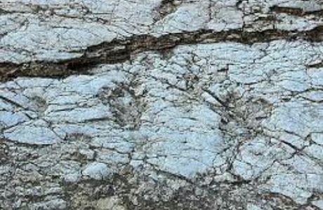 Impronte di Dinosauro