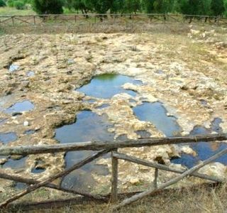 Insediamento Preistorico della Marina