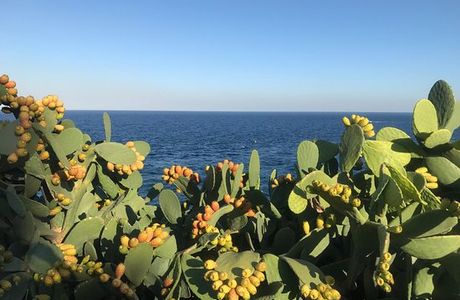 Faro Sant'Anna